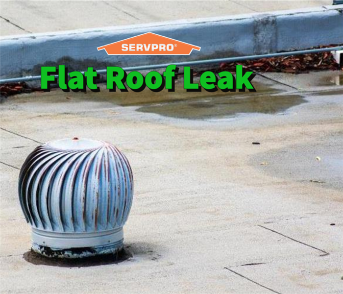 A commercial building roof with pooling causing a flat roof leak.