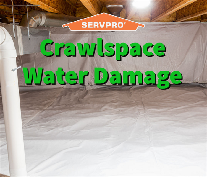 Crawlspace water damage restored by SERVPRO in Athens
